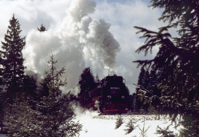 99 7239 mit Zug 8933 in den Kurven zwischen Drei Annen Hohne und dem ehemaligen Steinbruch vor Schierke, um 10:35h am 29.03.1996