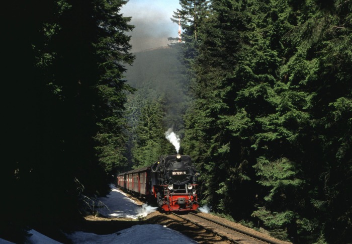 99 7231 mit Zug 8941 am Eckerloch, am 03.04.1999