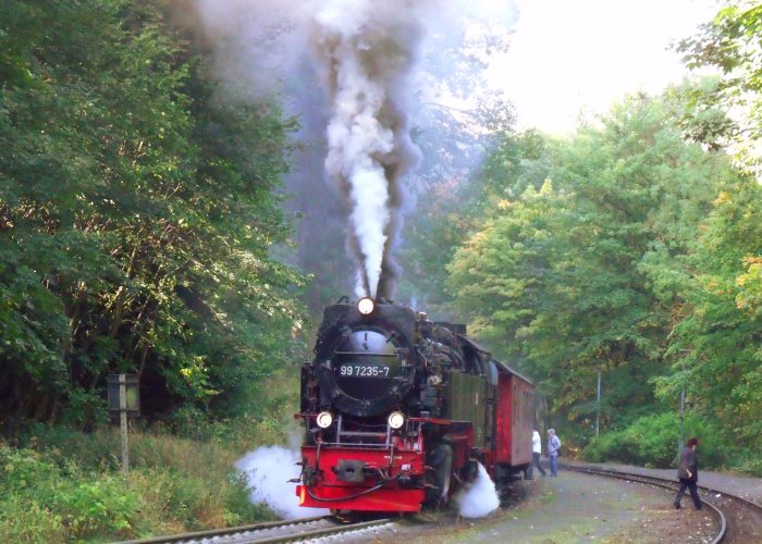 99 7235 mit Zug 8925 beim Halt in Steinerne Renne, um 10:49h am 30.09.2012