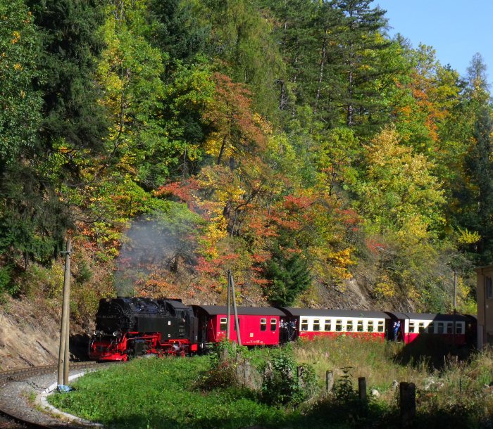 99 7243 mit Zug 8903 in der Kurve hinter dem Werbat-Werk bei Steinerne Renne, um 12:17h am 30.09.2012
