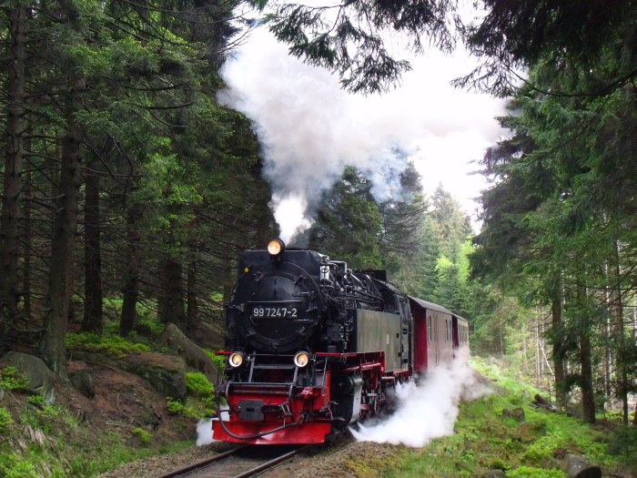 99 7247 mit dem Brockenzug Nr.8920 aus Nordhausen, weit hinter Schierke an dem kleinen Wanderweg-Bahnübergang, um 13:25h am 14.05.2014