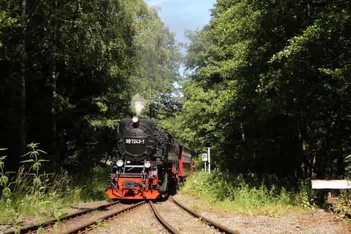 99 7243 mit Zug Nr.8967 nach Hasselfelde hinter der Ausfahrt Silberhütte am Abzweig zum ehemaligen Heizwerk, um 16:12h am 09.07.2024