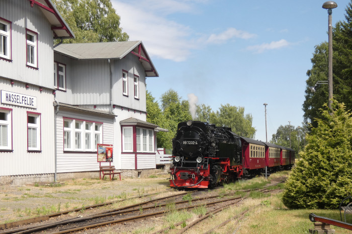 Im Sommer-Juli 2025 ist 99 7232  auch mal Stammlokomotive im Selketal, hier trifft sie mit dem 8962 von Eisfelder Talmühle kommend in Hasselfelde ein, um 14:59h am 10.07.2025