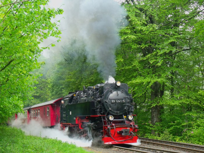 99 7241 mit dem ersten Brockenzug 8931, mal wieder schön laute Abfahrt in Steinerne Renne, um 9:23h am 17.05.2014