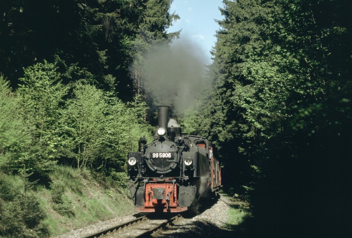 99 5906 mit Zug 8955 vor Sternhaus-Haferfeld im Wald, am 12.05.2001