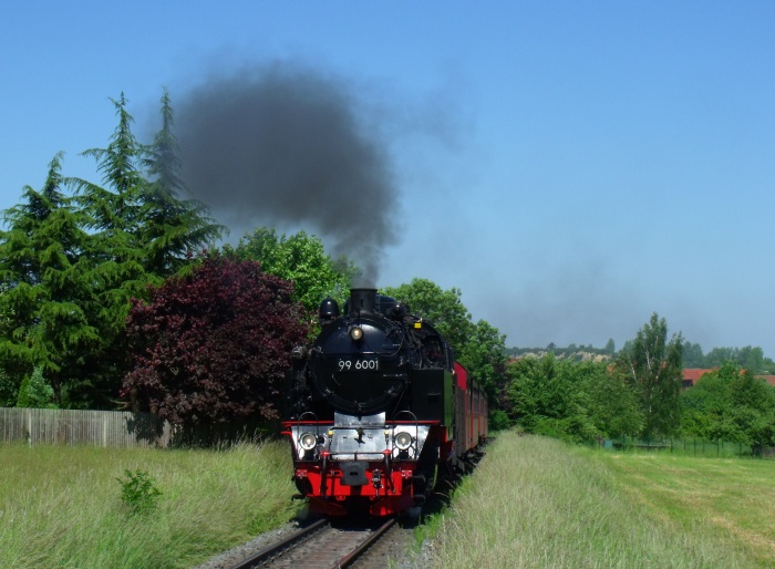 99 6001 mit Zug 8963 hinter Gernrode an dem Neubau- Siedlungsgebiet, um 10:57h am 05.06.2015