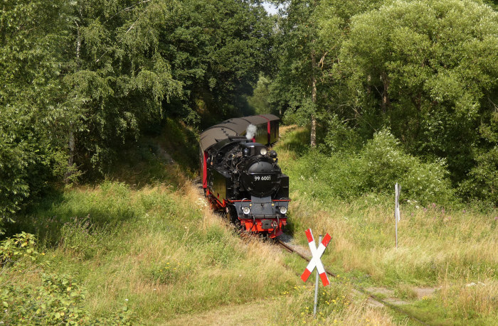 99 6001 mit Zug 8967 nach Hasselfelde, am (bekannten) Feld-Waldweg-Bahnübergang Richtung Kuxtal vor Straßberg, um 15:22h am 24.07.2021