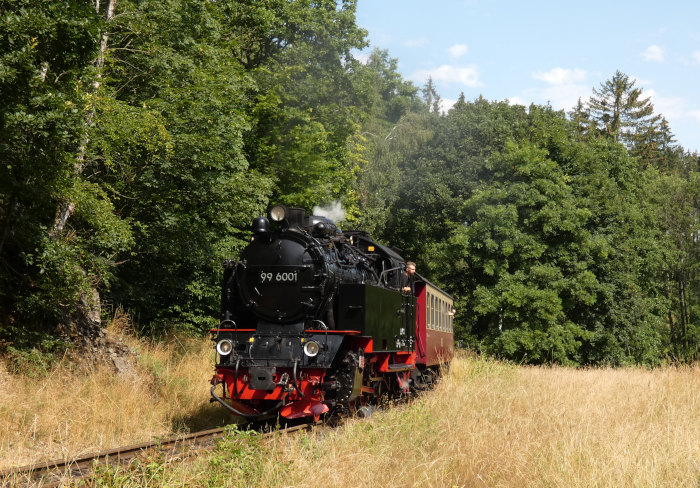 99 6001 mit Zug 8963 (→Alexisbad) in geradezu einer Schnellzug-Fahrweise zwischen Sternhaus-Haferfeld und Ramberg, um 11:14h am 25.07.2021