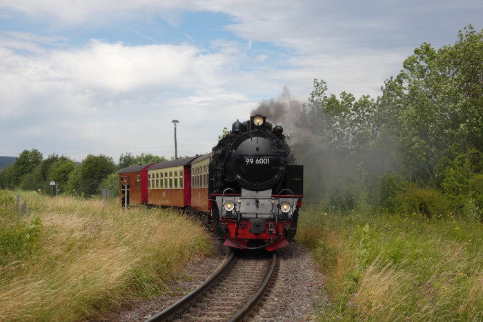 99 6001 kommt hier mit Zug 8963 auf der HSB-Neubaustrecke aus Quedlinburg in Gernrode eingefahren, um 10:46h am 06.07.2024