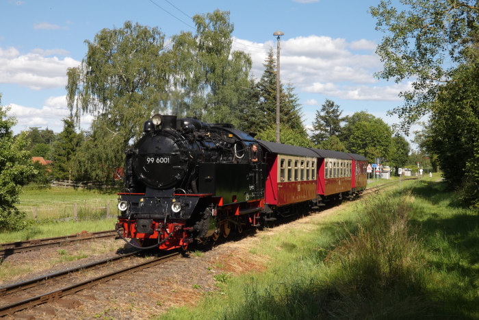 99 6001 mit Zug 8967 aus Quedlinburg an der Einfahrt von Hasselfelde, um 16:51h am 07.07.2024