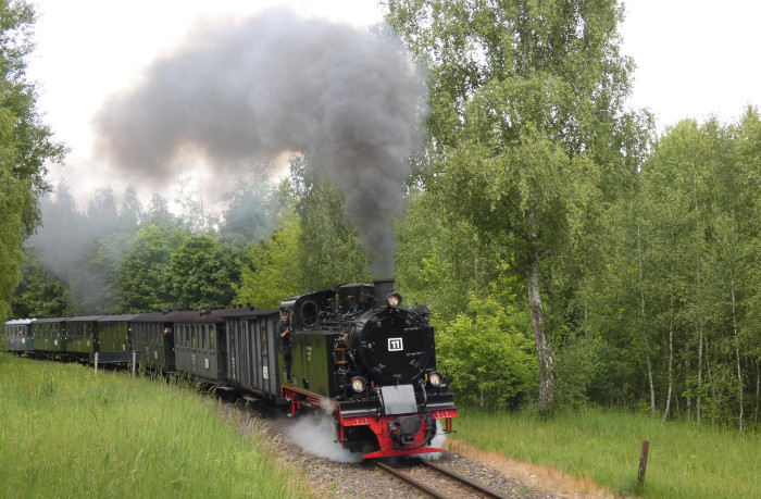 Lok 11  mit Infozug zurück Richtung Benndorf, schon fast dramatisch laut (und schnell!) in dem kleinen Wald hinter der Ausfahrt Kupferkammerhütte, um 13:25h am 29.05.2025