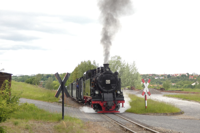 Lok 11  mit normalem „Regelzug“ zurück Richtung Benndorf an der Ausfahrt von Kupferkammerhütte, um 15:46h am 29.05.2025