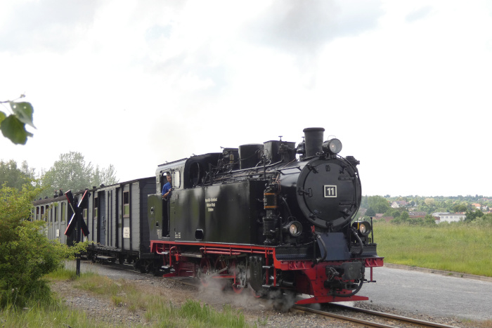 Lok 11  mit Sonderzug „Teddybärzug“ zurück →Benndorf, wieder an der Ausfahrt von Kupferkammerhütte, um 15:44h am 31.05.2025