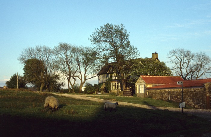 Das alte und hübsche Gästehaus “Beacon”, in dem wir im Jahr 2002 unser Übernachtungsquartier hatten, nett anzusehen im abendlichen Sonnenschein mit den allgegenwärtigen Schafen im Dorf auf den Wiesen davor, am 30.05.2002 etwa um 20:00h