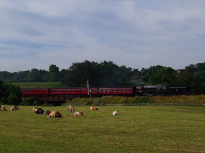 Die 9F  92214  kommt am Morgen des 15.08.2012 mit dem ersten Zug aus Pickering nach Grosmont gefahren, fotografiert zwischen den Ellerbeck-Brücken südlich Goathland um 9:43h